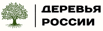 Деревья России