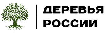Деревья России